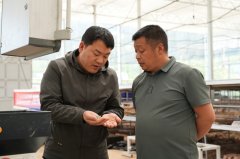 积极推广“工场化”集中育秧